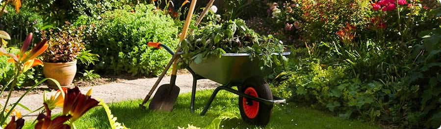 giardiniere impresa giardinaggio Inverigo